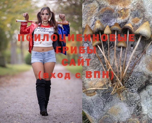 каннабис Алзамай