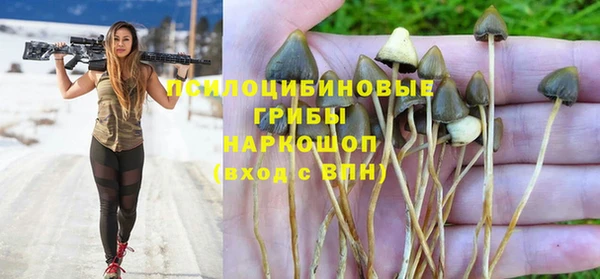 каннабис Алзамай