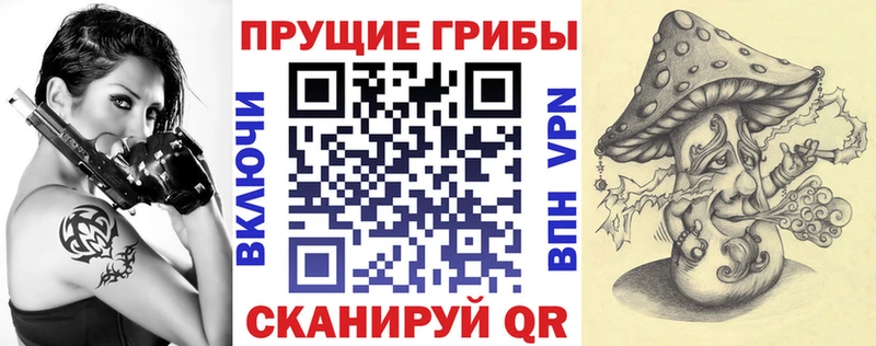 где купить наркоту  Нижний Новгород  Галлюциногенные грибы мицелий 