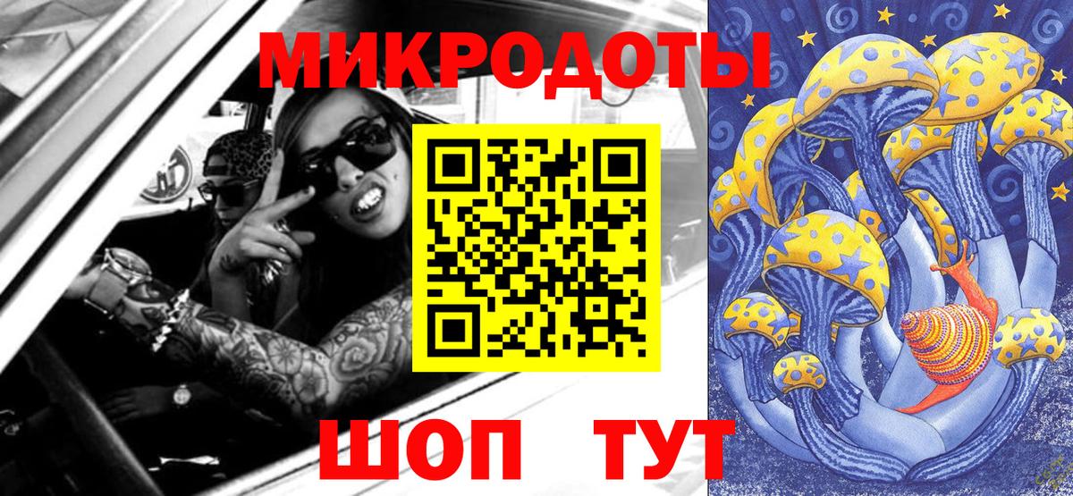 Галлюциногенные грибы Psilocybine cubensis Нижний Новгород