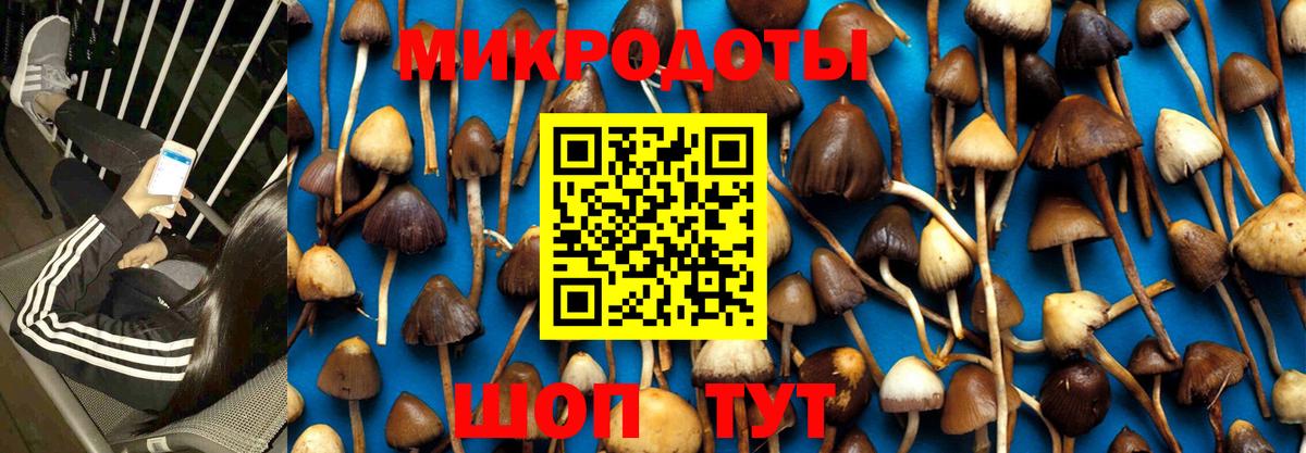Нижний Новгород  Псилоцибиновые грибы GOLDEN TEACHER  Вход с VPN 