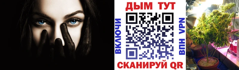 mega вход  Нижний Новгород  нарко площадка официальный сайт  Канабис SATIVA & INDICA 